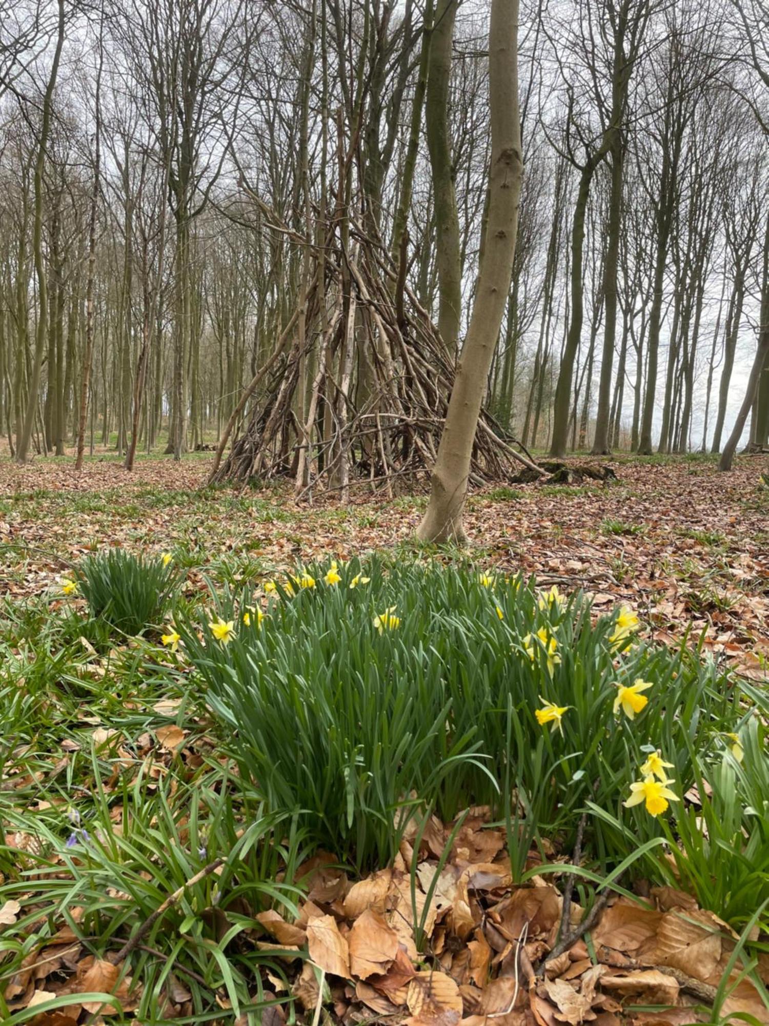 La Canopee Des Arbres, Anna Ellezelles Exterior foto